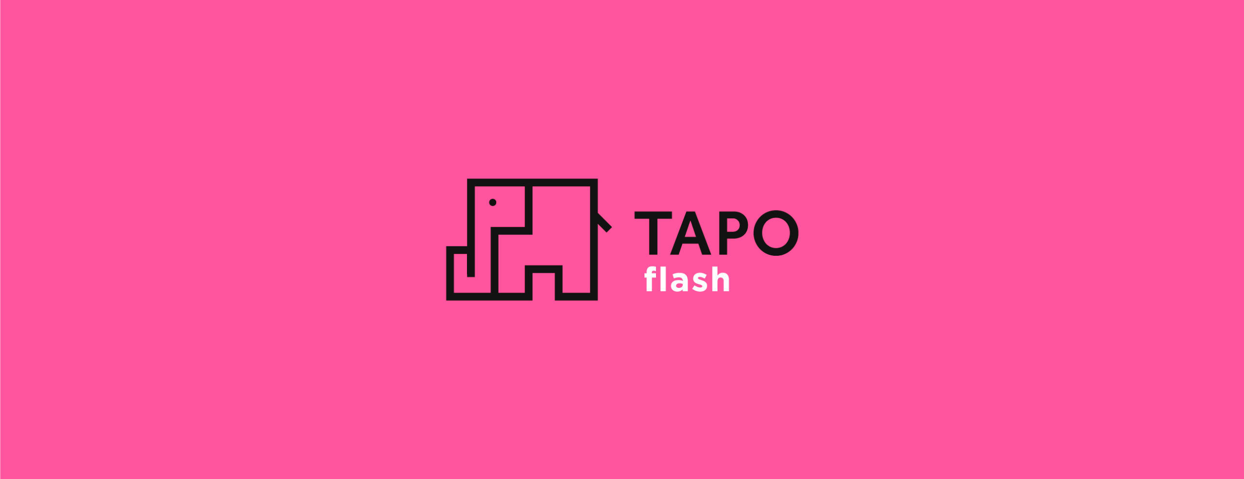 TapoFlash